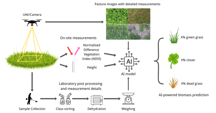 Global AI Challenge Aims to Boost Pasture Management